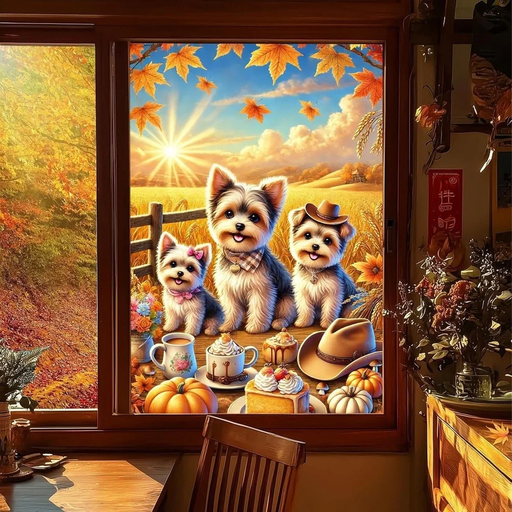 Rainbow Privacy Window Film 24x36 